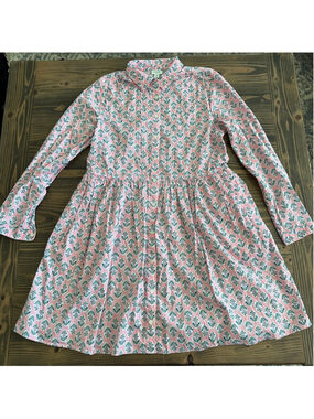J Crew Factory Floral Shirt Dress Womens 8 Pink Green Pockets